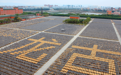 以創(chuàng)意賦能 展國企風(fēng)貌 廈門輕工集團(tuán)亮相第十七屆海峽旅游博覽會,摘取兩項大獎