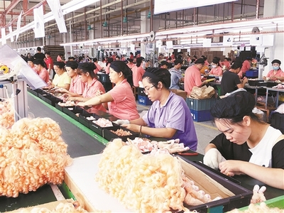 廣西北流市以招商引資工作為抓手推動縣域經(jīng)濟高質(zhì)量發(fā)展