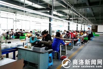 重大項目微掃描:一起了解丹鳳鳳發實業保健鞋、毛坪農業產業園項目