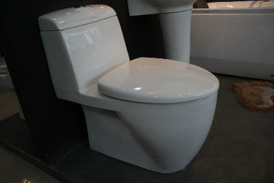 陶瓷衛(wèi)生潔具八見(jiàn)解 多功能、富于表現(xiàn)力與生命力